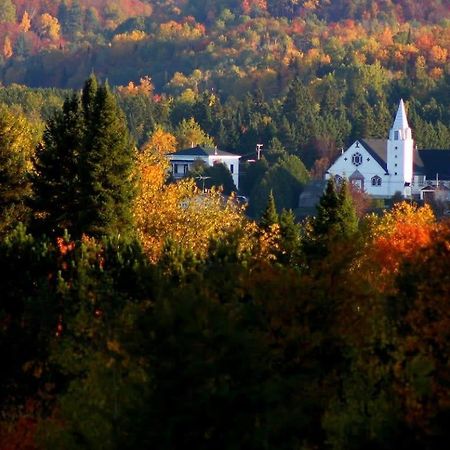 Your Cozy Cabin Retreat Saint-Remi-d'Amherst Экстерьер фото